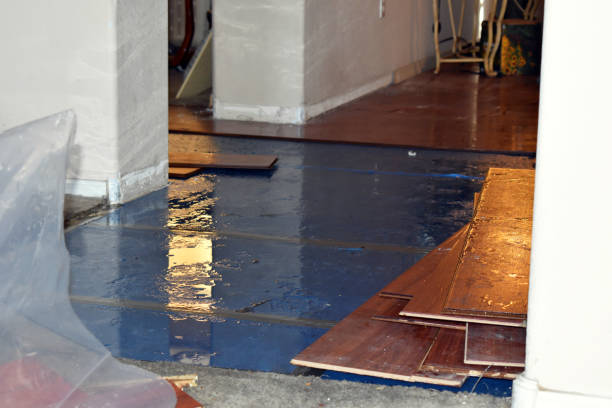 Professional Basement Water Removal technician working in Bridgewater, MA